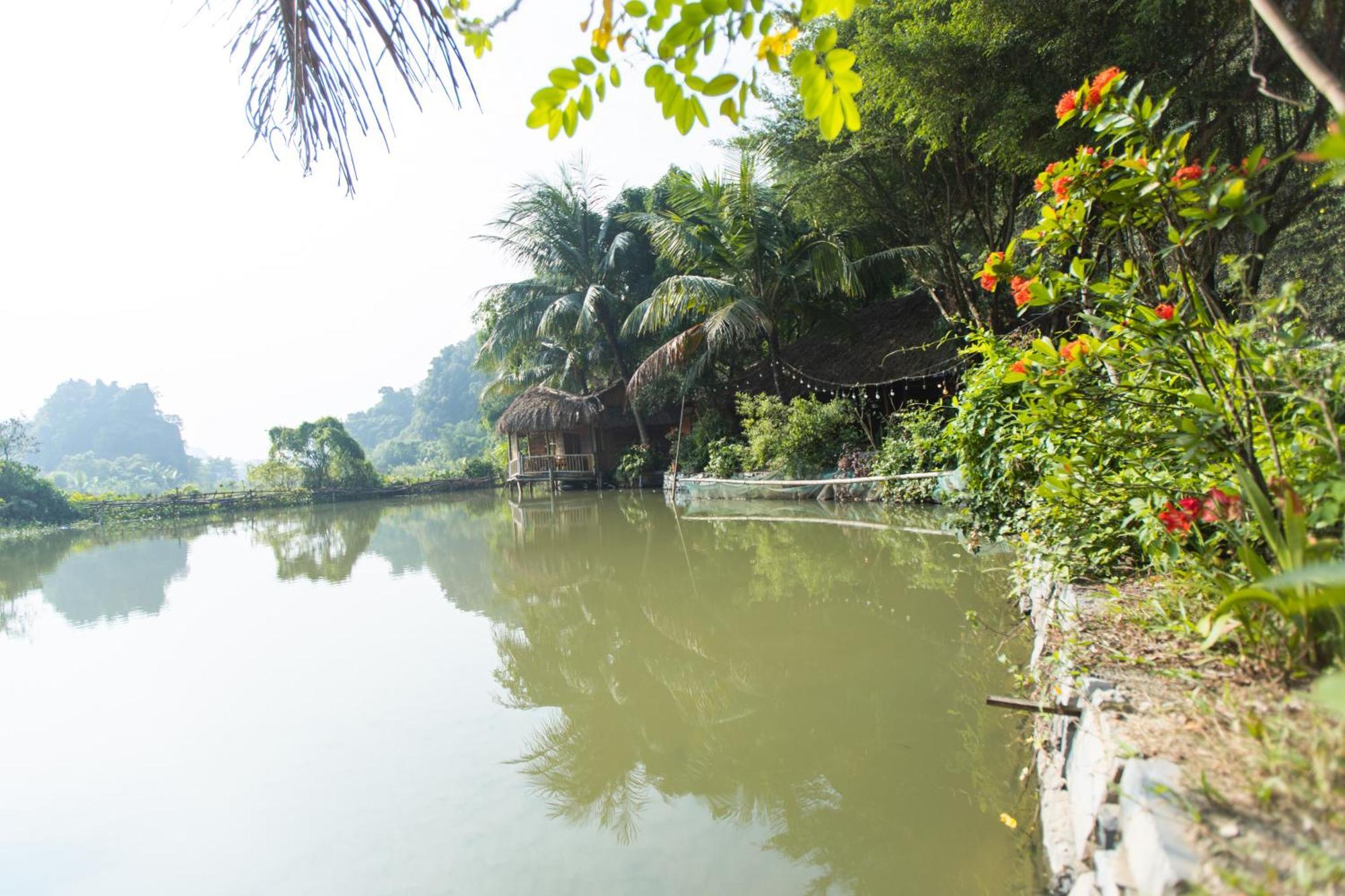 Thung Sen Tam Coc Chalets Ninh Binh Eksteriør bilde