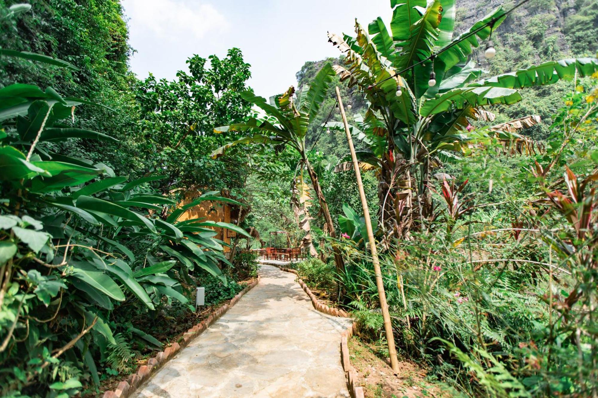 Thung Sen Tam Coc Chalets Ninh Binh Eksteriør bilde