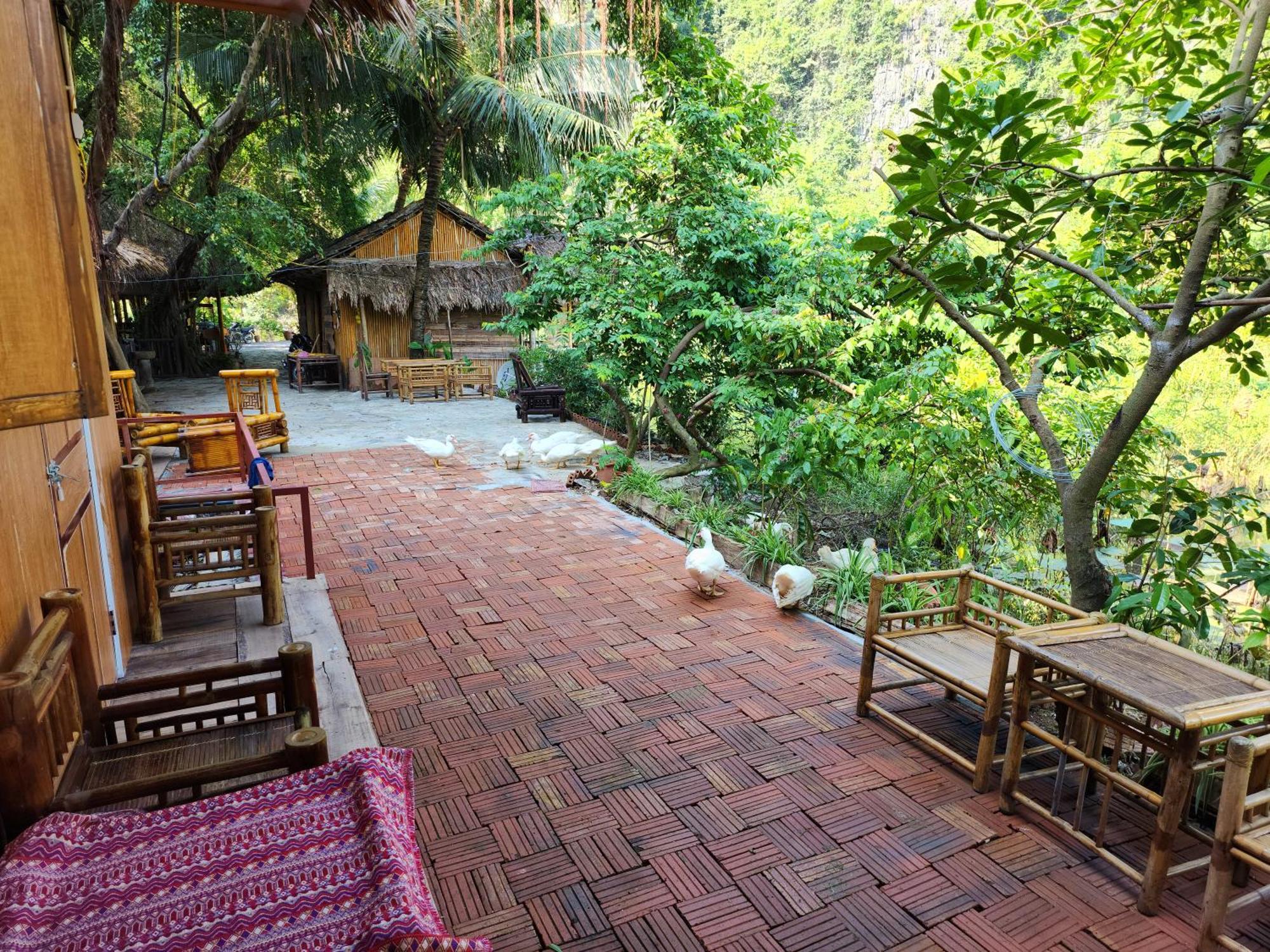 Thung Sen Tam Coc Chalets Ninh Binh Eksteriør bilde