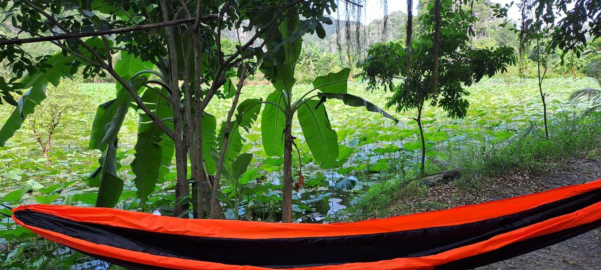 Thung Sen Tam Coc Chalets Ninh Binh Eksteriør bilde